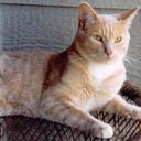 Teri Glover - @TGlover123 - Twitter