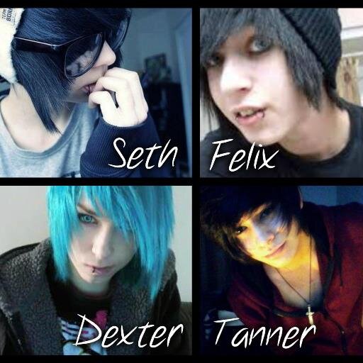 Seth-19/single/pansexual
Felix-17/taken/bisexual
Dexter-18/single/gay
Tanner-18/single/pansexual
