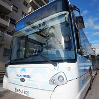 PALM BUS (@palmbus) 's Twitter Profile