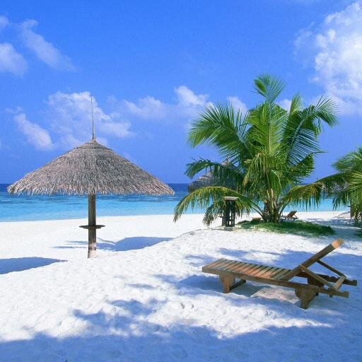 ainara1960's profile picture. 