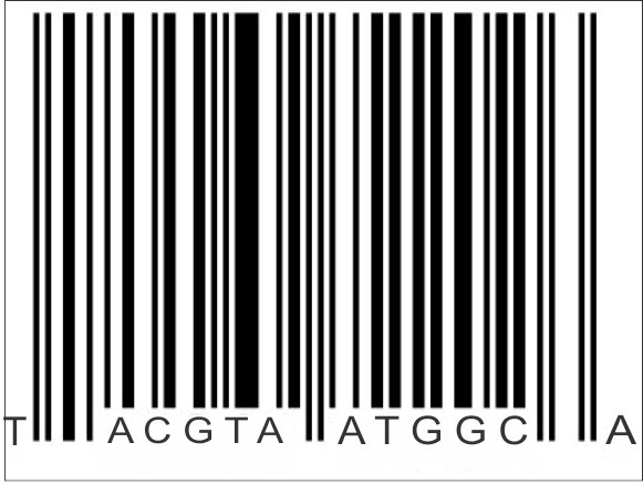 YourGenotype's profile picture. Compartilhar informações, novidades e tópicos refinados em biociências.