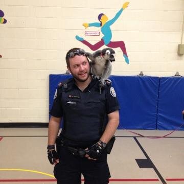 PCJohnFreeman's profile picture. 12 Division SRO, Toronto Police Service. This account is not monitored 24/7, to report a crime call 416-808-2222 or 911 in an emergency or TDD 4670493