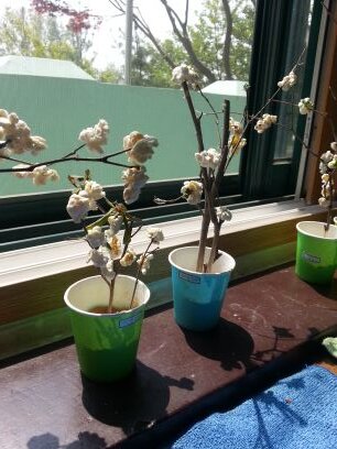 sangjin55's profile picture. Korean, elementary school teacher, blogger, language learning.