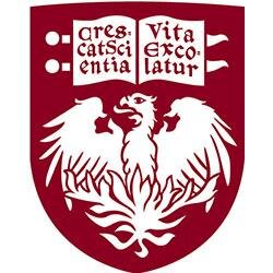 UChicago Surgery Profile