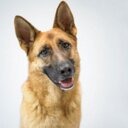 aidan jackson - @AidanAidanj1 - Twitter