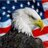 dailyEEUU's profile image