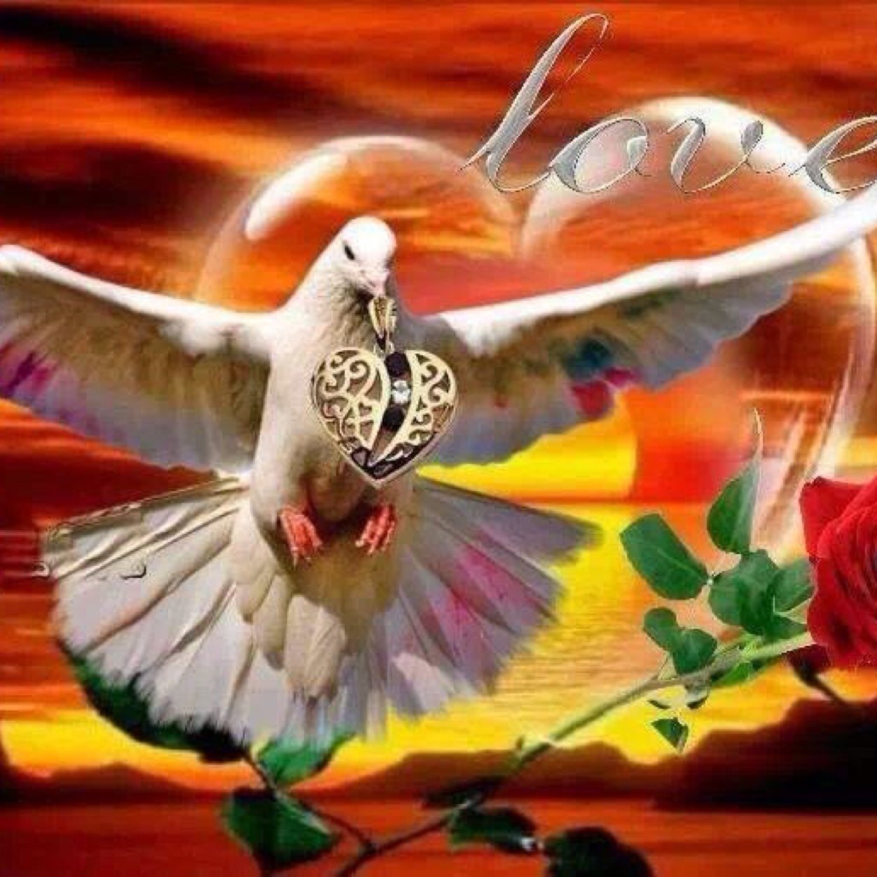 DeniseMartin022's profile picture. 