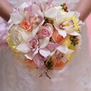 Robert Yankowski - @megaflowers1 - Twitter