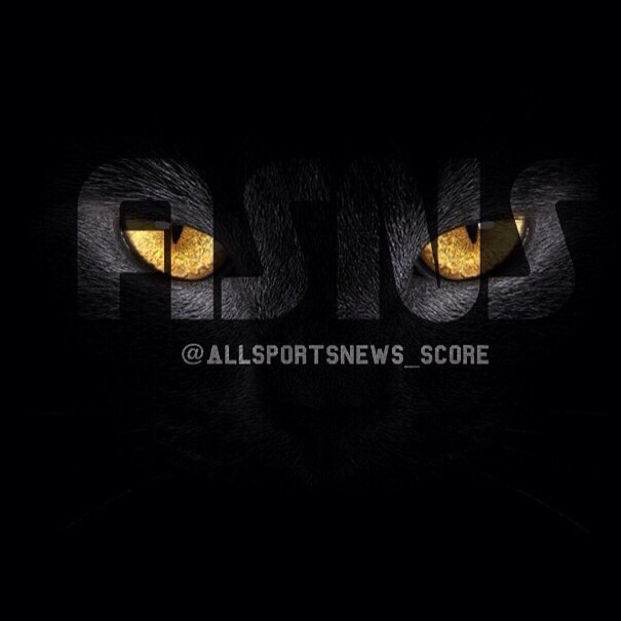 AllSportsN_S's profile picture. The offical Home of live Sports News & Scores