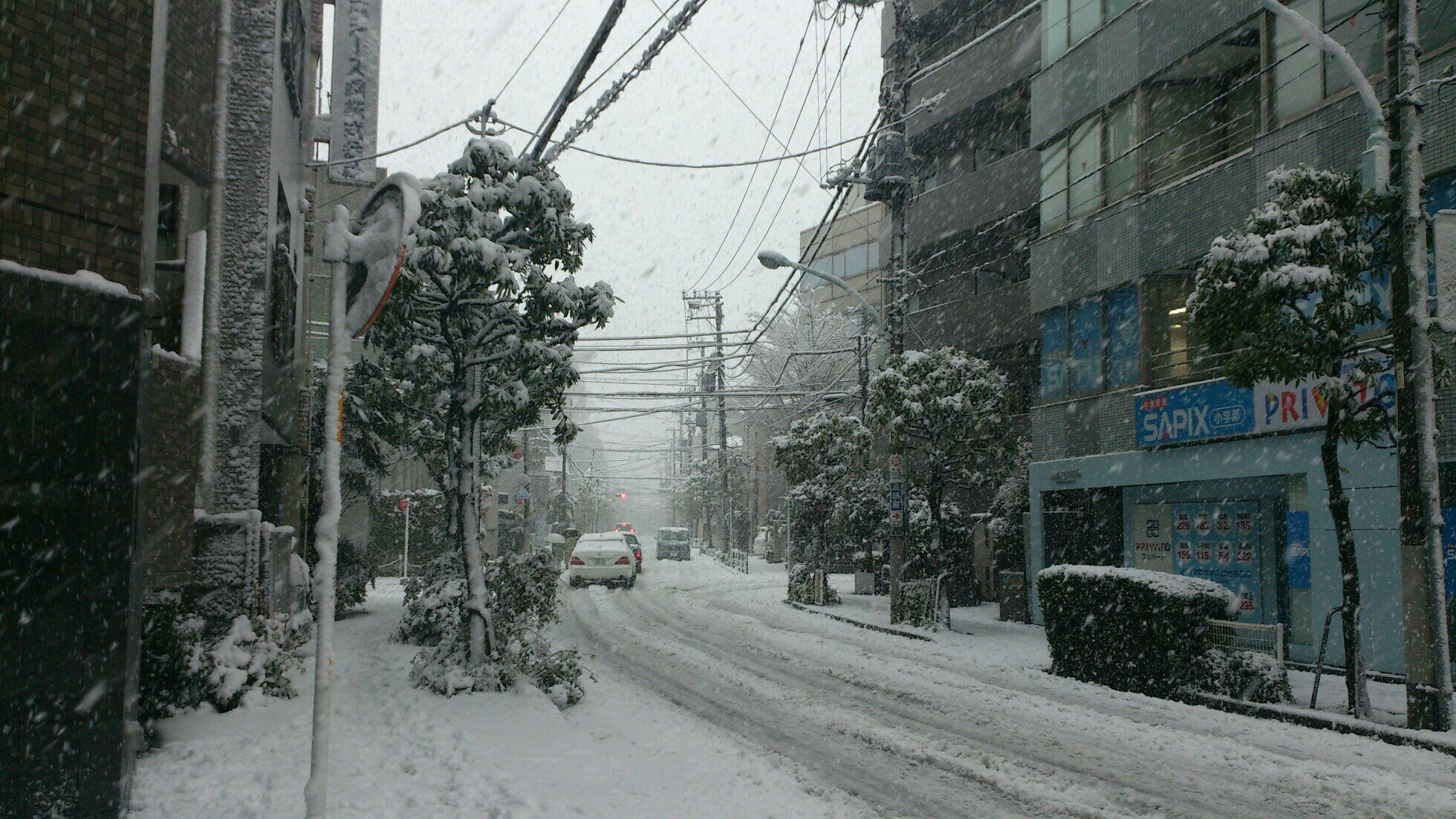 東京の片隅で