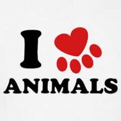Dedicated to the rescue and well being of animals around Southwest Florida. Tweeting info about current animal related issues and rescue events here in the 239.