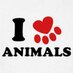 Animal Lover (@swflanimals) Twitter profile photo