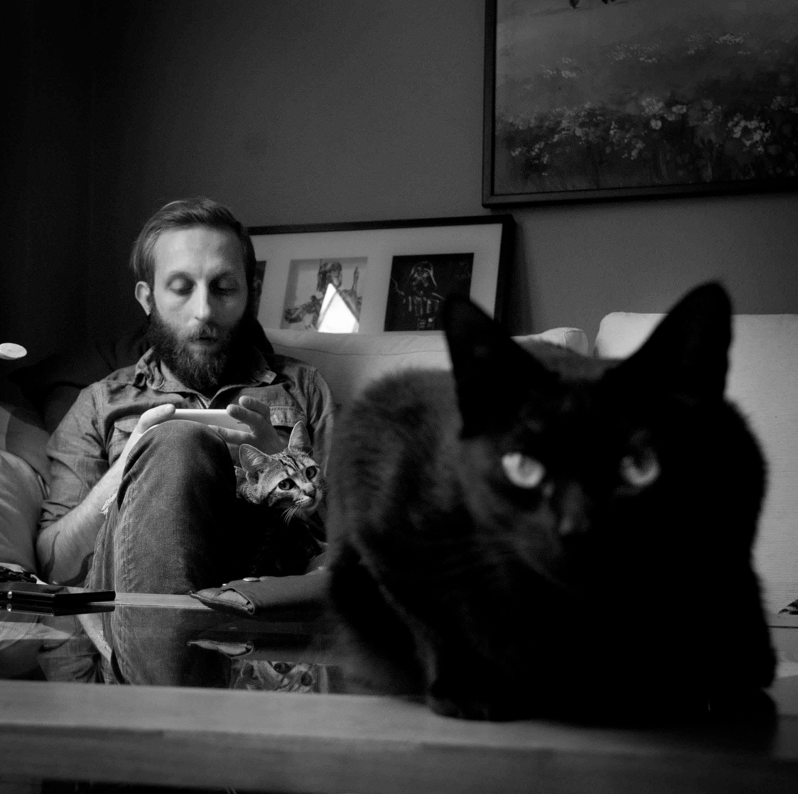 skrulioso's profile picture. Cocinero y asesino de Richard Portu