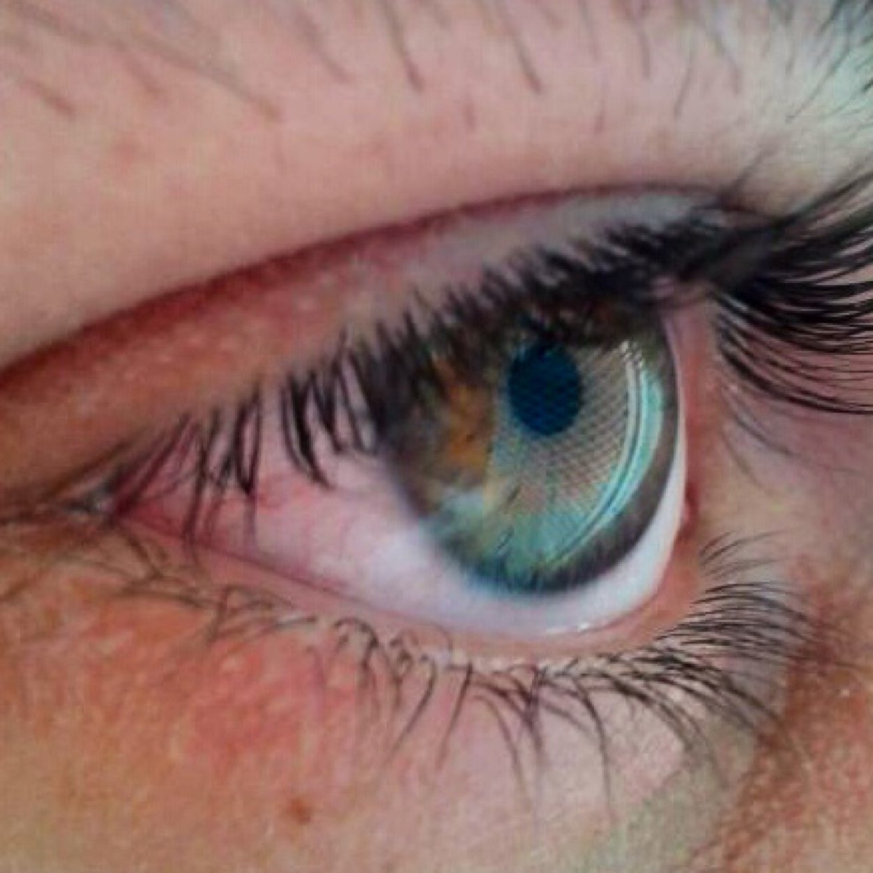 efz1005's profile picture. Aim higher in case you fall short. Co-CTO @skibeta. Maths + CS @ UB. Programmer @matrymoldes.