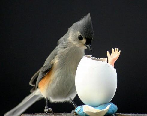 AdanHammonds's profile picture. 