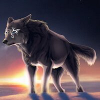Gray Wolf(@xylaria01) 's Twitter Profile Photo