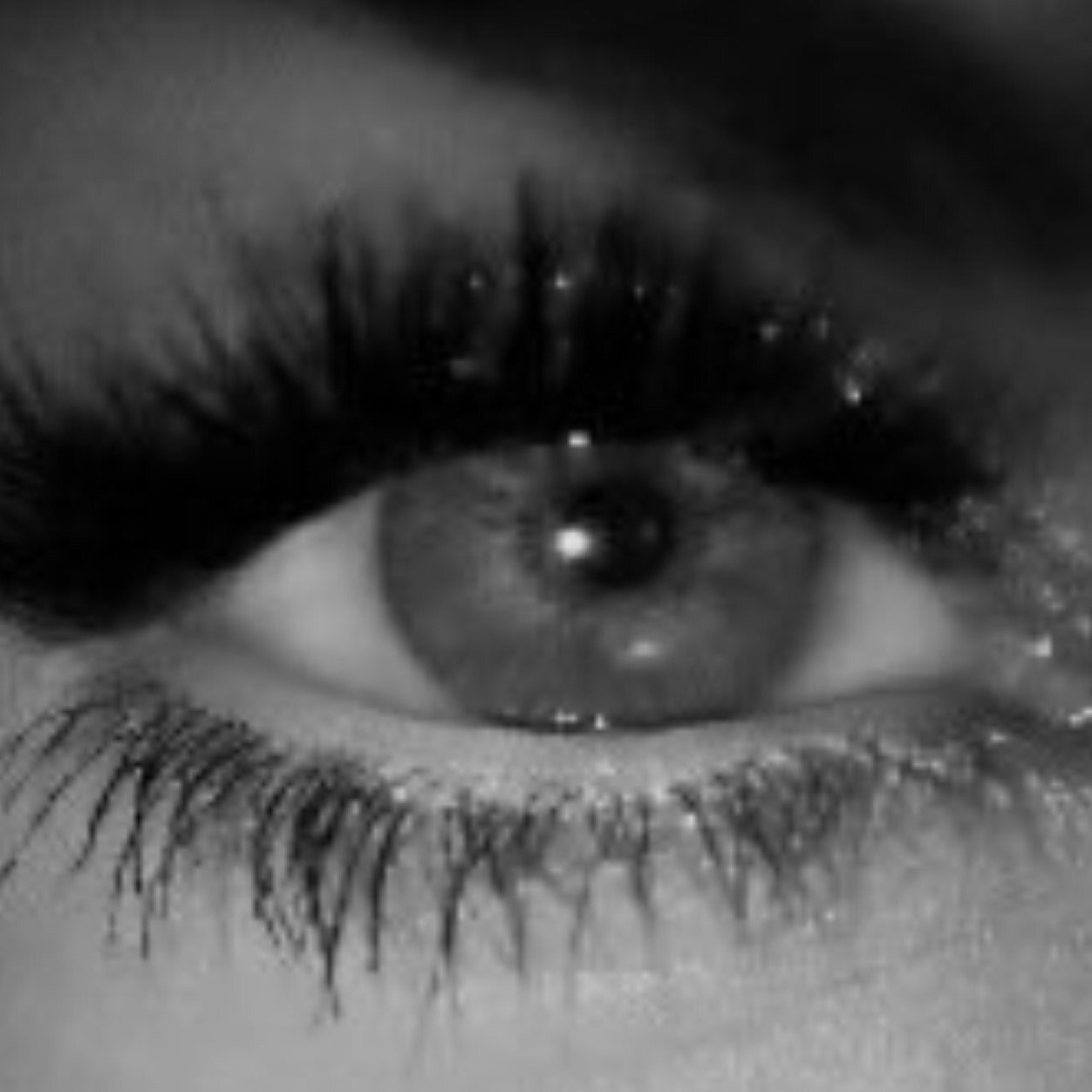 MadonnaTroll's profile picture. My Fave murders your faves careers.