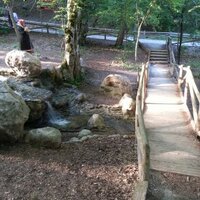 Hülya (AK)bulut (@akbuluthulya81) 's Twitter Profile