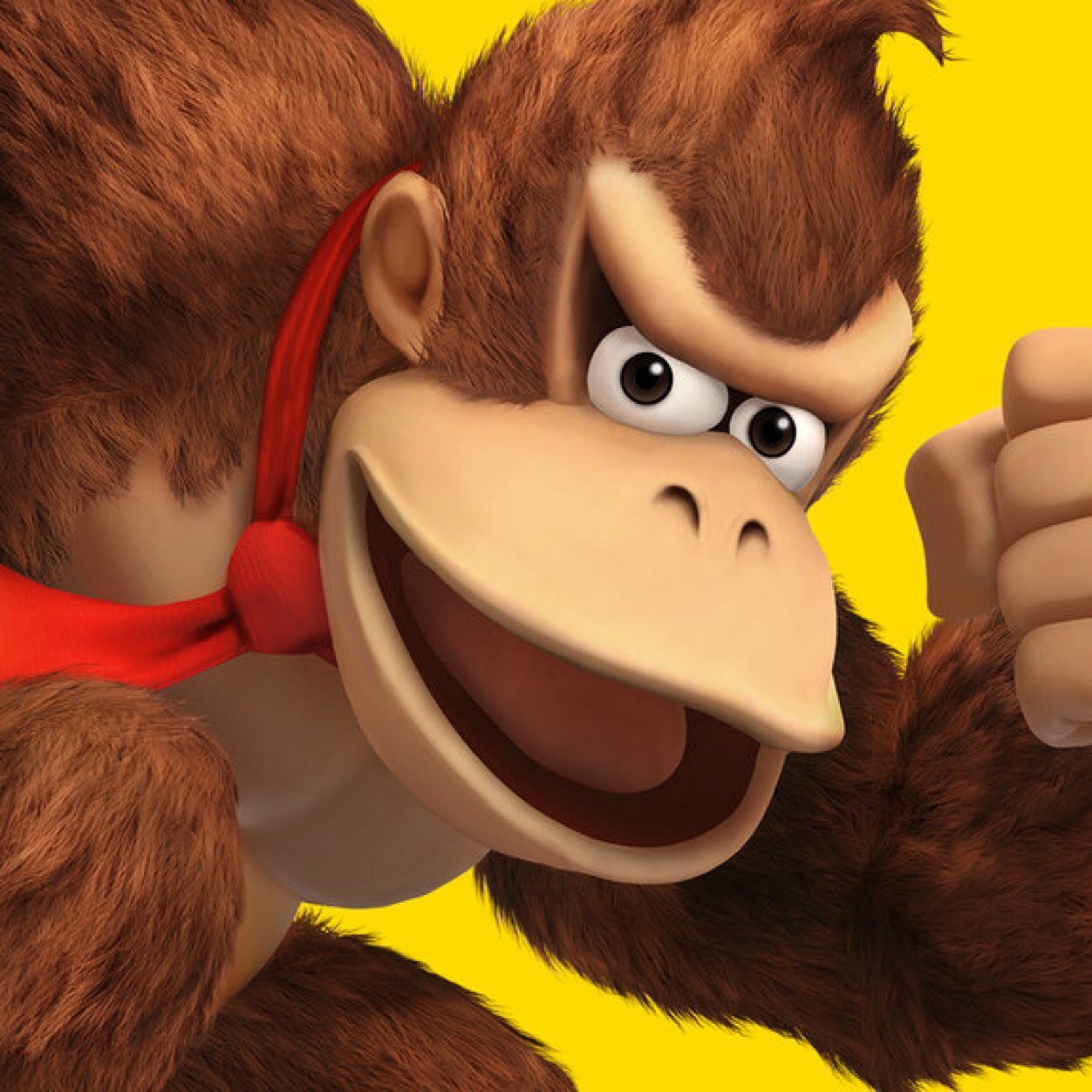 My name is donkeykong i am #SSBRP and follow me and follow back