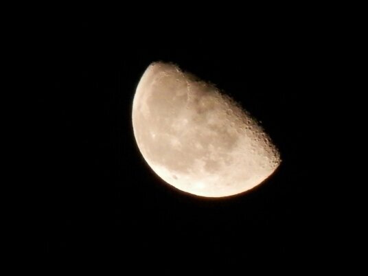 lotus2yuji's profile picture. 