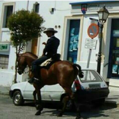 Aracena Sevilla y Umbrete