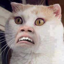 Hola a todo re twiteo cualquer cosa me subcribo a canales :DDDDDD agregen