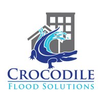 Crocodile (@crocodilefs) 's Twitter Profile