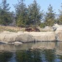 Patrick Randall - @patrickrandal14 - Twitter