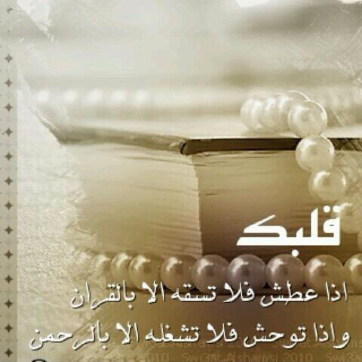 mm_447's profile picture. 