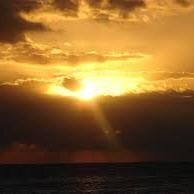 Horizon Rizes Profile