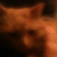 Sunflyer11 (@sunflyer11) 's Twitter Profile Photo Sunflyer11 (@sunflyer11) 's Twitter Profile Photo