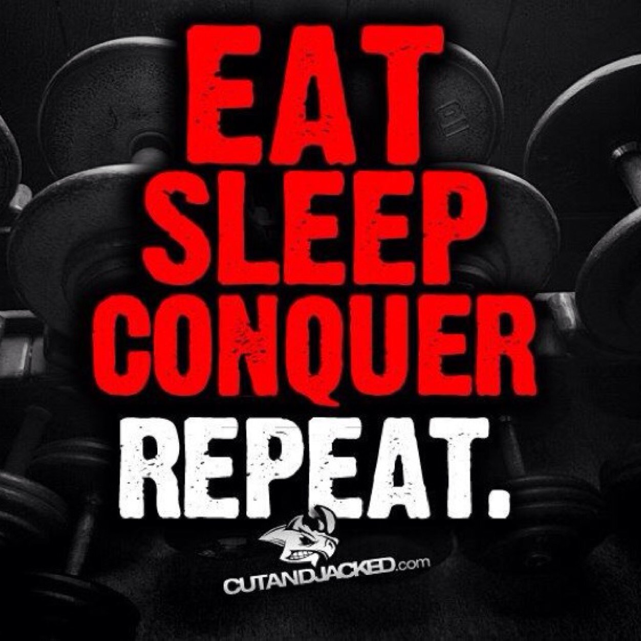 WilliamZeller1's profile picture. like working out, playing video games, and wwe. but best of all is being a dad