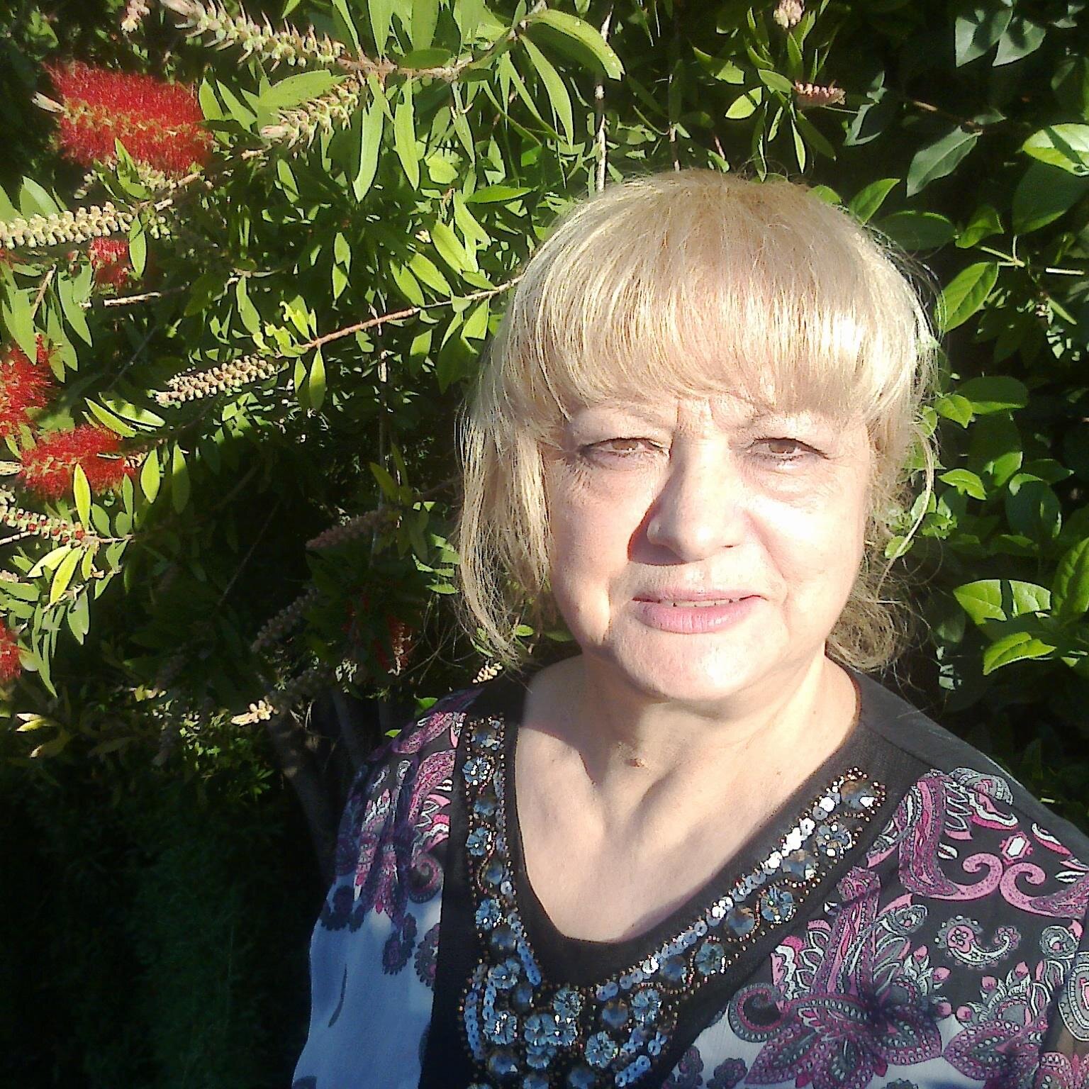 dominec1650@hotmail.com