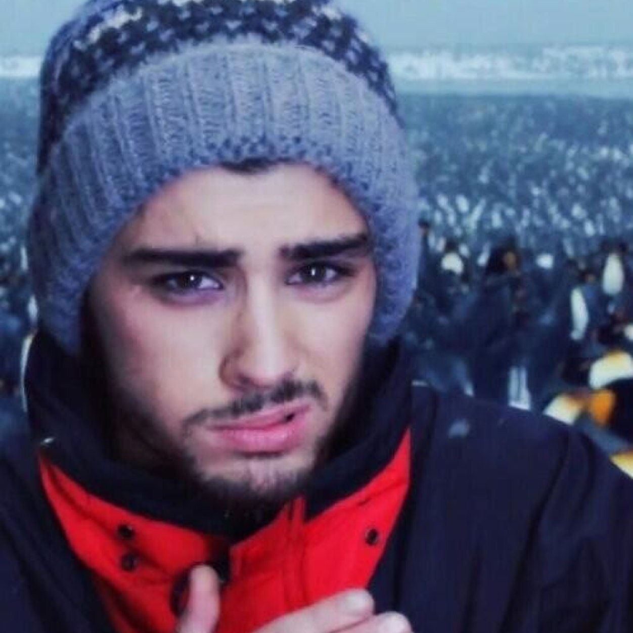 Follow ------- @1Dismydestiny_x
