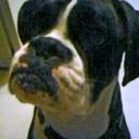 Annie Egan - @Skychikwi - Twitter