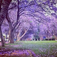 بقايا اﻻمس (@mmm_0090) 's Twitter Profile