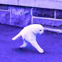 Juana Brown - @brown_juana - Twitter