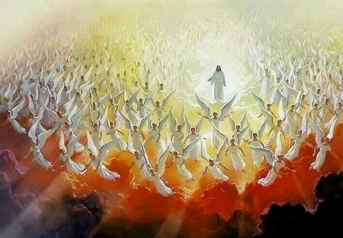 CLARENCEDAVISI1's profile picture. PEEWEE