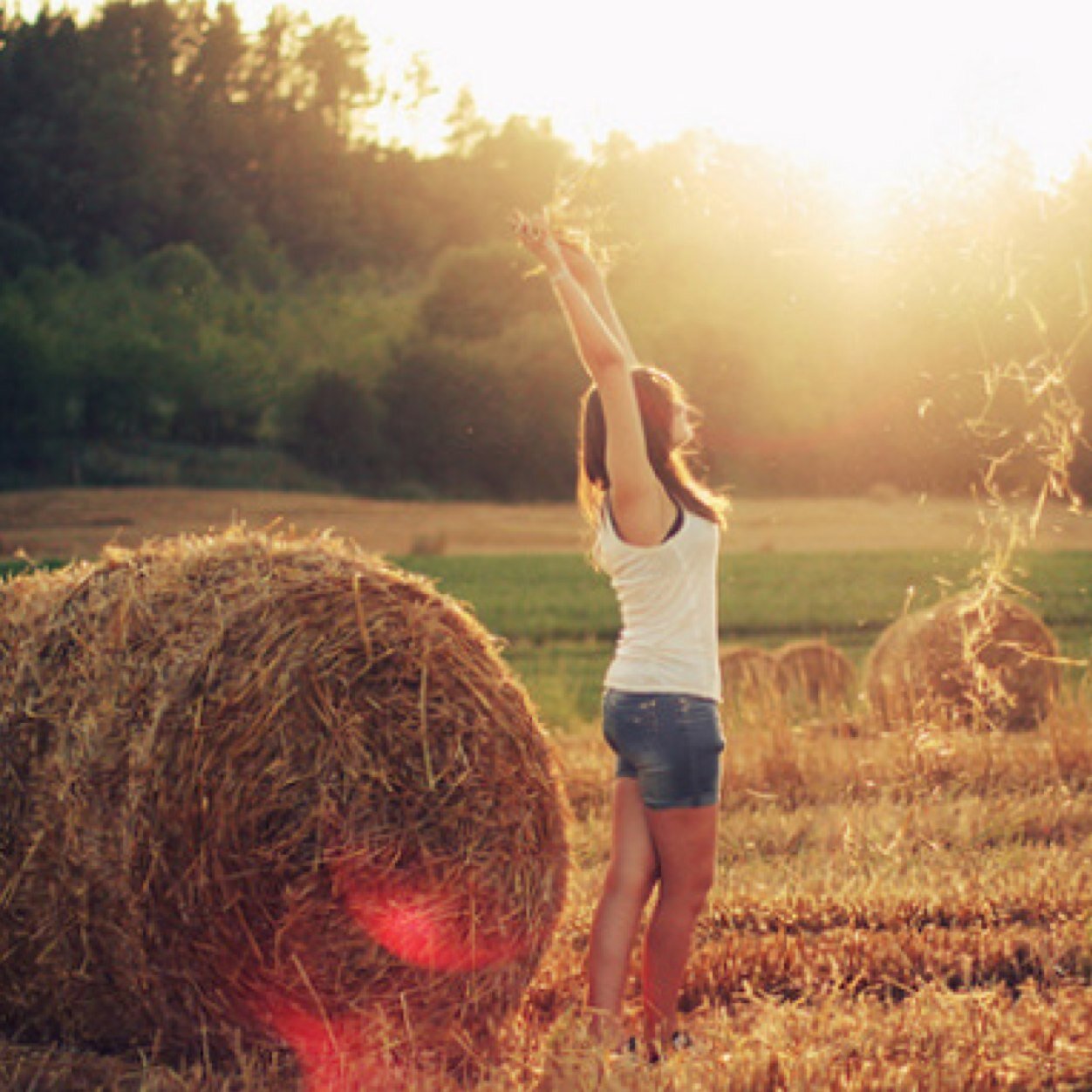my love is music.