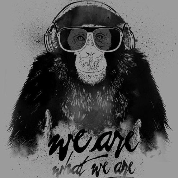 novaghis's profile picture. P.S.G FOR LIFE.......