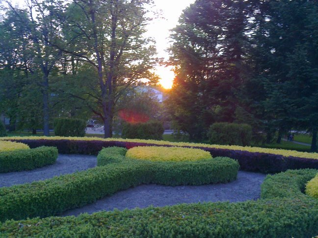 armandsul1's profile picture. 