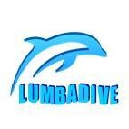 Dive Resort administrated by a French Canadian since Dec. 2009.  Speak French and English.  
 For Fantastic, Fun and Secure diving visit LUMBADIVE PADI 5 STAR