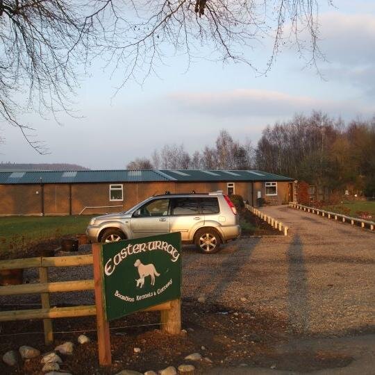 how to stop barking at other dogs