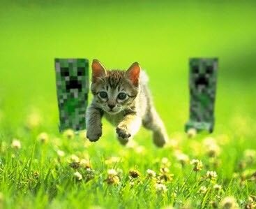 tomek301's profile picture. 