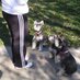 Linda Fauss (@lfauss1) Twitter profile photo