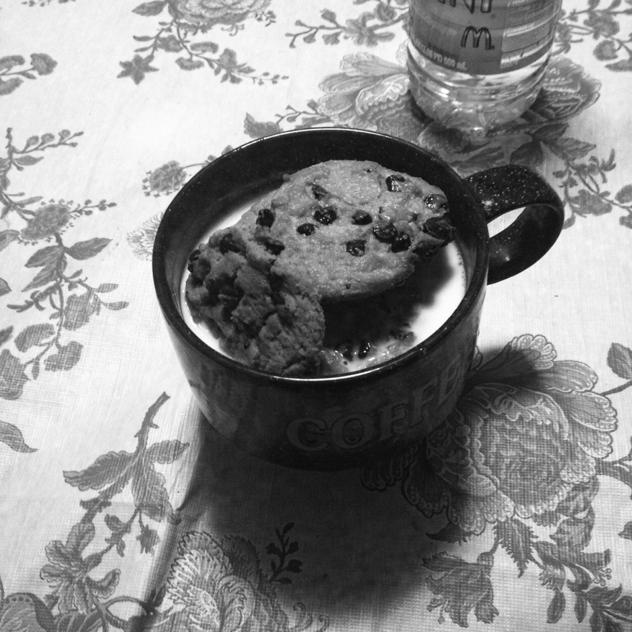 Minipitbull007C's profile picture. 