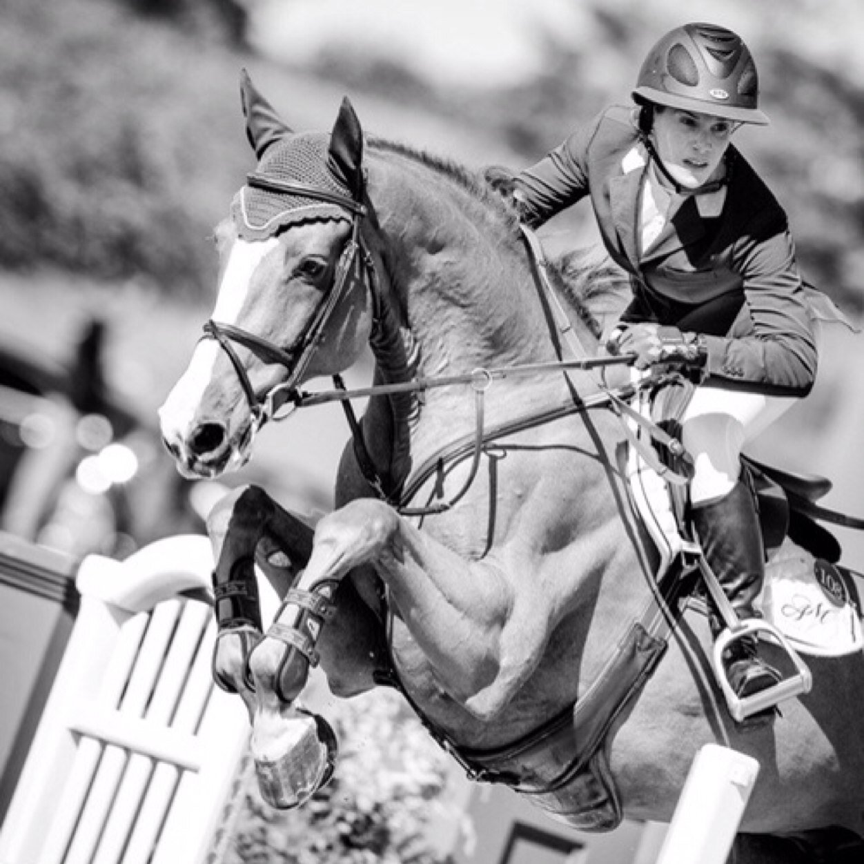 Horsearemylive -eva, jesse, megan, cathleen,mark,amy,jaydee,joyce-thamar ❤️