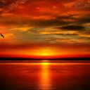 Kristi Hendricks - @c79cbdb44830494 - Twitter