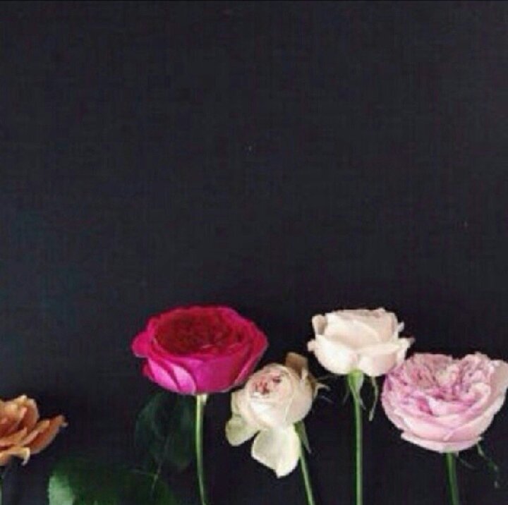 ‏‏‏‏‏سنمضي يومااً تـااركين خلفنـاا كُـل شيء فَ نساالـكـ يارب حسن ♡الـخااتمهـ ♡