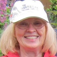 edk365 (@edk365) 's Twitter Profile